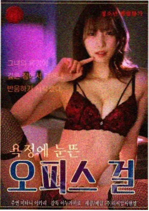 韩剧在线观看汉江以北封面